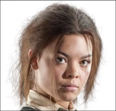 Dans quelle maison Pansy Parkinson est-elle envoyée ?