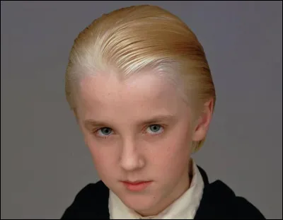 Dans quelle maison Drago Malefoy est-il envoyé ?