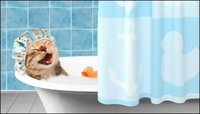 Combien de fois par semaine te laves-tu les cheveux ?