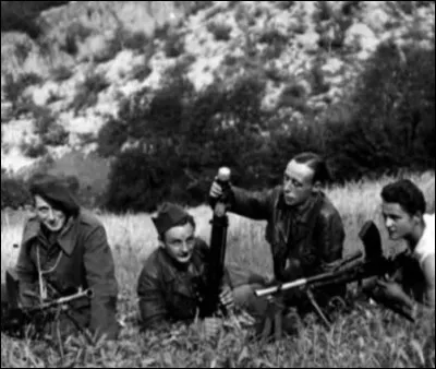 Comment sont appelés les résistants cachés dans les montagnes et forêts ?