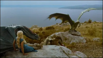 Combien de griffes chaque dragon possède-t-il ?