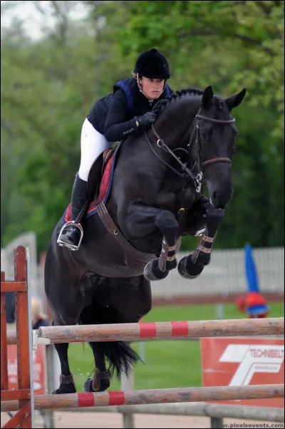 Si tu faisais de la comp&eacute;tition, pour toi ce serait :