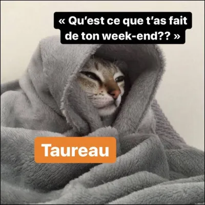 Quel ton signe astrologique ?