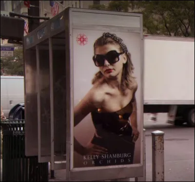 **** De quelle s&eacute;rie est extraite cette capture ?