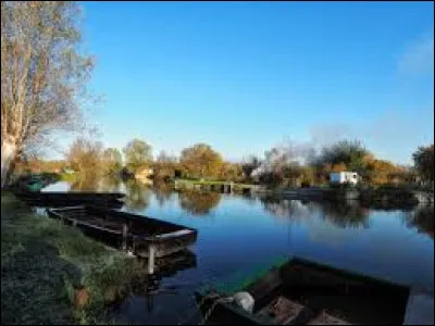 Quel d&eacute;partement a pour num&eacute;ro le 18 ?