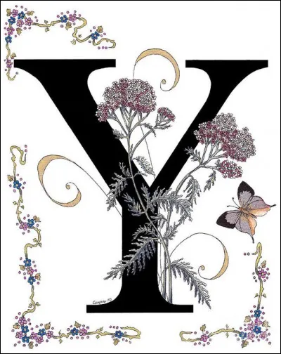 Yé-yé : parmi les yéyés des années 60, lequel n'a pas interprété "Da-dou-ron-ron" ?