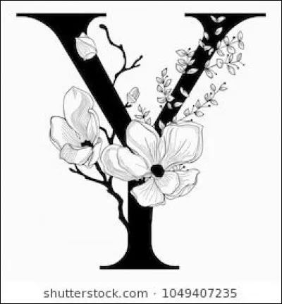 Yard : la verge anglaise appelée yard est une unité de mesure, à quelle mesure française équivaut-elle environ ?