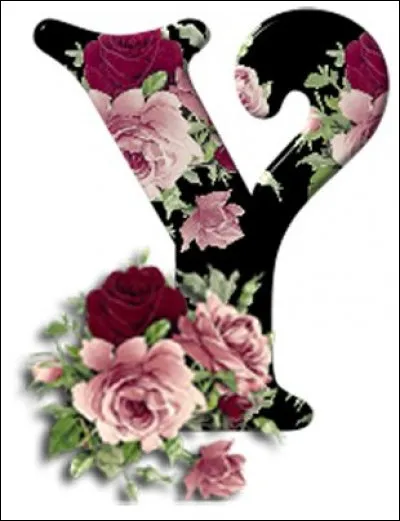 Ylang-Ylang : il a un parfum suave et fleuri. D'où est originaire cet arbre dont on cultive les fleurs ?