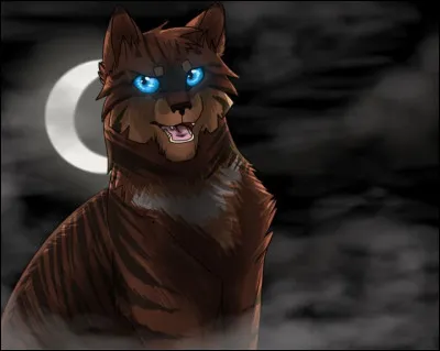 Avec Plume de Faucon, il a comploté pour tuer Étoile de Feu .