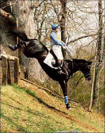 Quelle est la principale qualité privilégiée sur cet obstacle ?