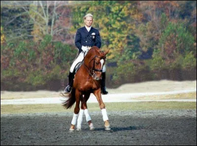 Quelle est cette figure ?