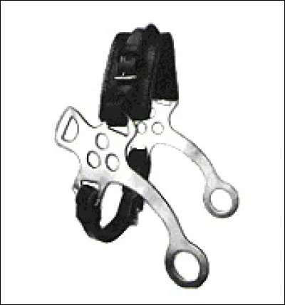 Dans quelle discipline est-il autorisé d'utiliser l'hackamore en compétition ?