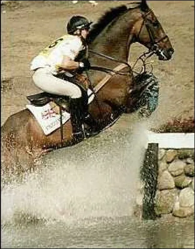 Cherchez l'intrus parmi les différents obstacles de cross.