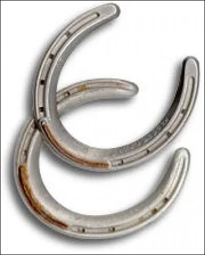 Cherchez l'intrus parmi les différentes parties du fer.