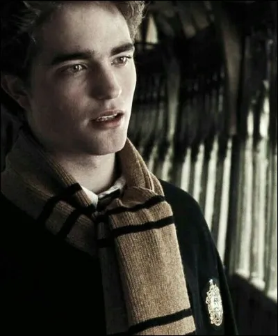 Et puis, il faut savoir aussi que les Poufsouffle ne sont pas choisis en fonction de...