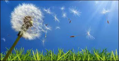 Comment dit-on le "printemps" en espagnol ?