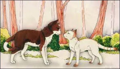 Tu commences ton apprentissage. Comment voudrais-tu t'appeler ?