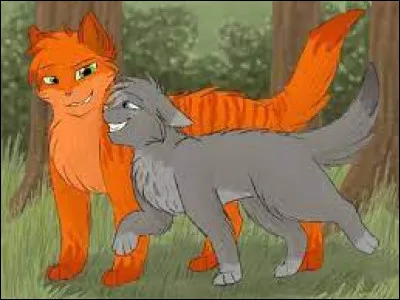 Qui voudrais-tu comme mentor ?