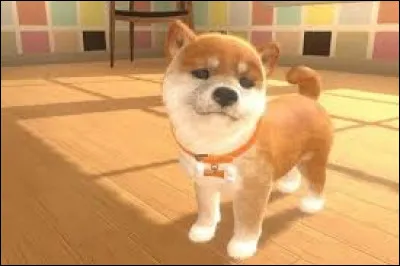 Sur quelle console pouvait-on jouer au jeu "Nintendogs" dans les ann&eacute;es 2000 ?