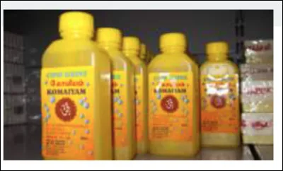 En 2009, le groupe nationaliste hindou Rashtriya Swayamsevak Sangh lance un soda à base d'urine de vache pour contrer l'influence de Coca-Cola et Pepsi en Inde. Qui d'autres sont connus pour boire leur urine ?