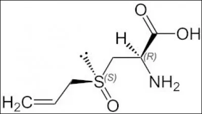L'ail contient des sulfures d'allyle, qui peuvent être mortels si l'on en consomme plus de ...