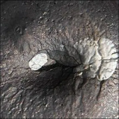 Ce que vous voyez là n'est pas l'« il de Janus », mais un élément chimique constitutif de l'ail et ... : quel est-il (n°34 du tableau périodique) ?