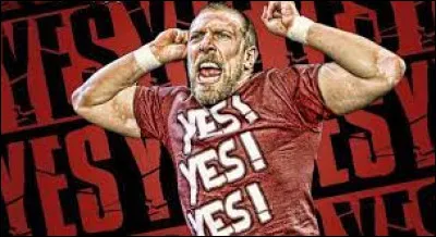 Quel est le finisher de Daniel Bryan ?