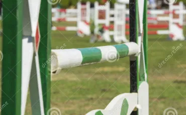 Quiz Galop 3