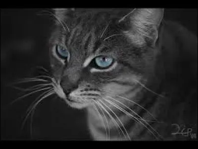 Qui sont ses parents ?