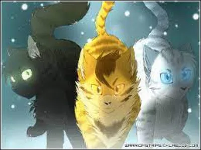 Qui sont ses frères et sœurs ?