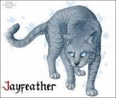 Plus tard, Nuage de Geai s'interroge sur son avenir : peut-il réellement devenir un guerrier alors qu'il n'arrive ni à chasser, ni à se battre ? Un soir, il suit en secret un félin qui se rend à la Source de la Lune. De qui s'agit-il ?