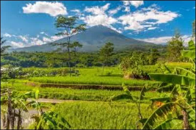 Quelle est la particularité de l'île de Java ?