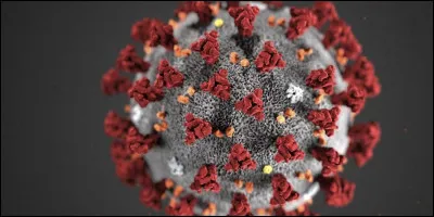 Quelle action adoptez-vous afin d'endiguer la pandémie ?