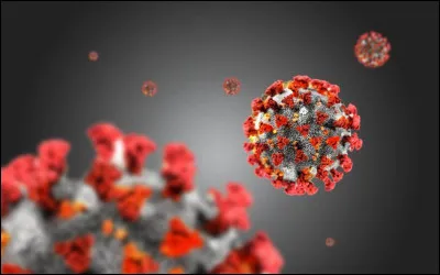 Comment s'appelle cette maladie due à ce virus qui embête notre vie ?