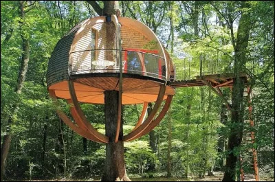 Cette fois-ci se n'est pas pareil. Quelle star est allée à Amnéville ( dans une cabane dans les bois ) ?