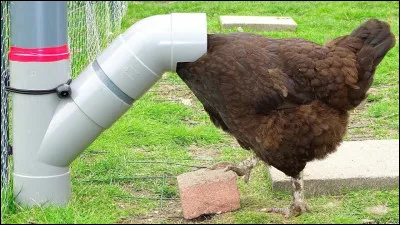 Cet homme "hideux" me donne la chair de poule.