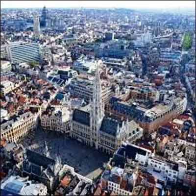 Lequel de ces monuments bruxellois est l��uvre de J&eacute;r&ocirc;me Duquesnoy ?