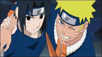 Quel est le nom de Sasuke et de Naruto ?