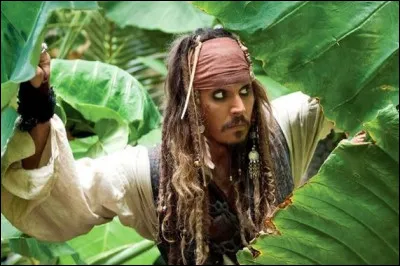 Un acteur de Pirates des Caraïbes part combattre Daesh en Syrie.