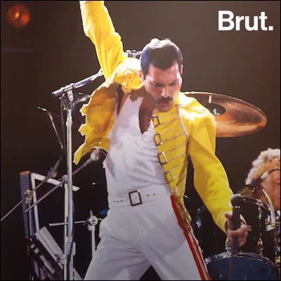 De quelle maladie Freddie Mercury est-il mort ?