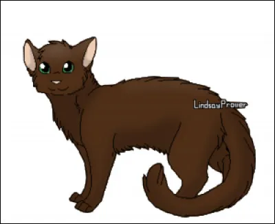 Cochez les membres de la famille de Fleur de Pavot.