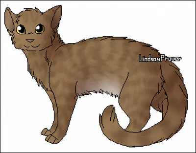 Cochez les membres de la famille de Griffe de Pierre.