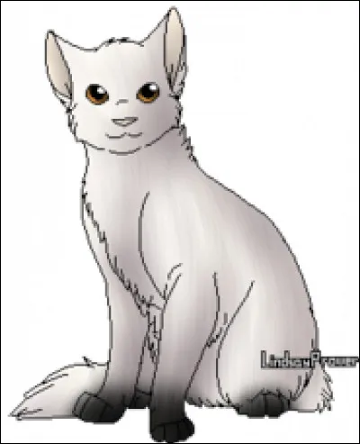 Cochez les membres de la famille de Étoile de Jais.