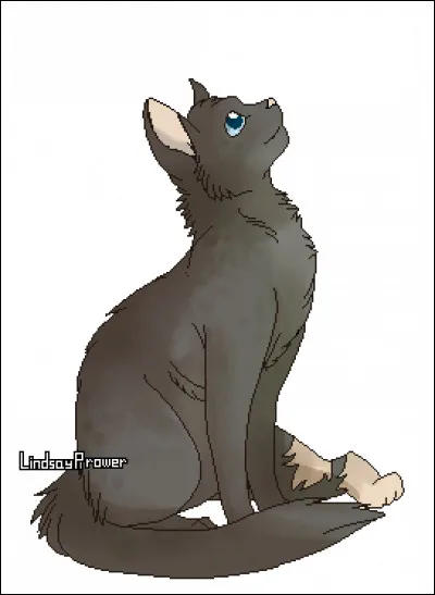 Cochez les membres de la famille de Museau Cendré.