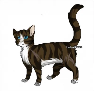 Cochez les membres de la famille de Plume de Faucon.