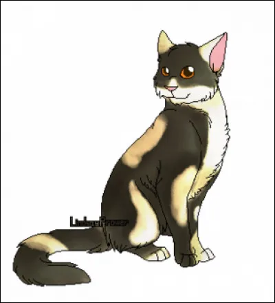 Cochez les membres de la famille d'Étoile Filante.