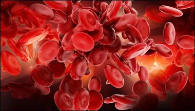 As-tu peur du sang ?