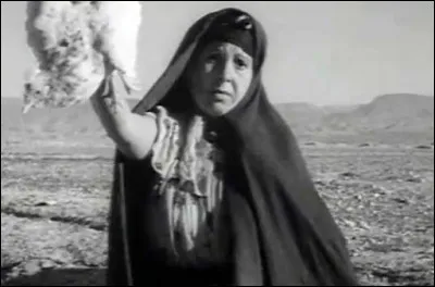 Dans ce film algérien, réalisé par Mohammed Lakhdar-Hamina, une mère cherche désespérément, dans la compagne algérienne, son fils raflé par larmée française et incarcéré depuis plusieurs semaines dans un camp. Quel est ce film ?