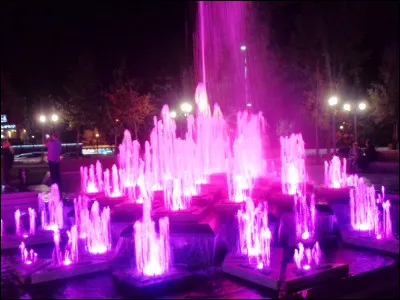 Selon une expression, la nuit, quels animaux sont tous gris ?