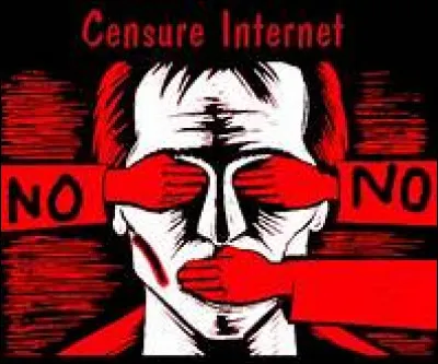 De combien de membres l'organisation de la Haute Autorité de la communication audiovisuelle, en place depuis 2011, est-elle constituée ?